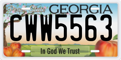 GA license plate CWW5563