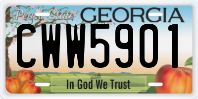 GA license plate CWW5901