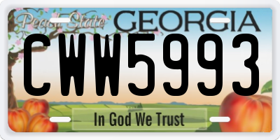 GA license plate CWW5993