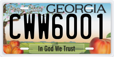 GA license plate CWW6001