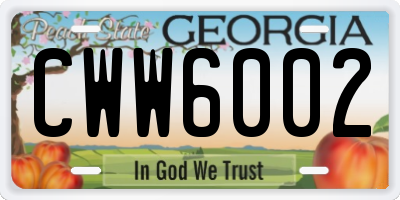 GA license plate CWW6002