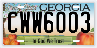 GA license plate CWW6003