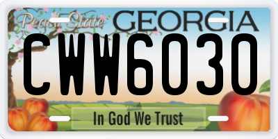 GA license plate CWW6030