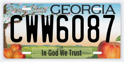 GA license plate CWW6087