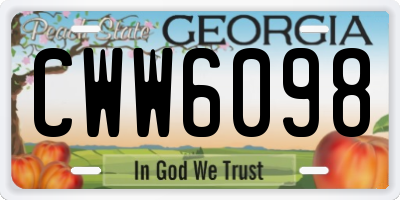 GA license plate CWW6098
