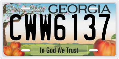 GA license plate CWW6137