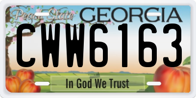 GA license plate CWW6163