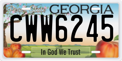 GA license plate CWW6245