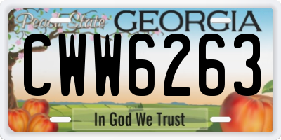 GA license plate CWW6263