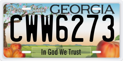 GA license plate CWW6273