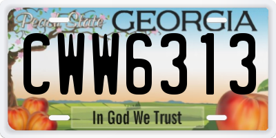 GA license plate CWW6313