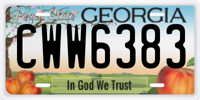 GA license plate CWW6383