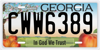 GA license plate CWW6389