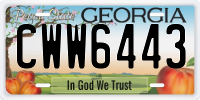 GA license plate CWW6443