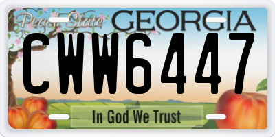 GA license plate CWW6447