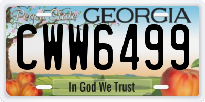 GA license plate CWW6499