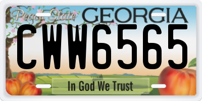 GA license plate CWW6565