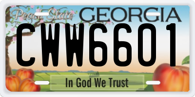 GA license plate CWW6601