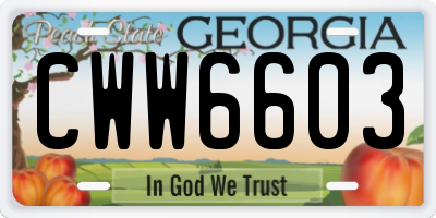 GA license plate CWW6603
