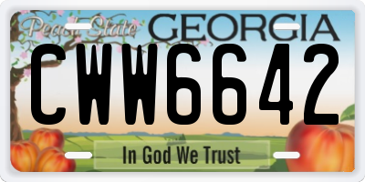 GA license plate CWW6642