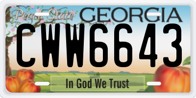 GA license plate CWW6643