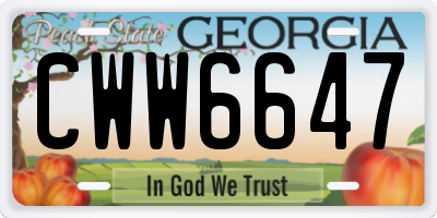 GA license plate CWW6647