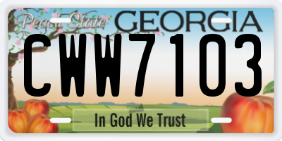 GA license plate CWW7103