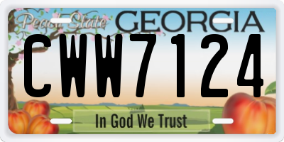 GA license plate CWW7124
