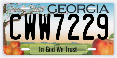 GA license plate CWW7229
