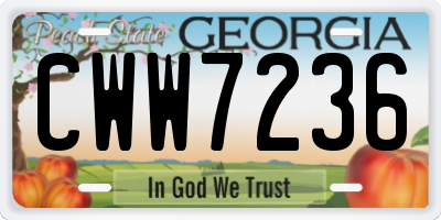 GA license plate CWW7236