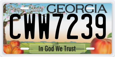 GA license plate CWW7239
