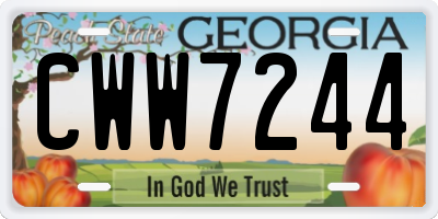 GA license plate CWW7244