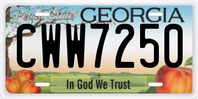 GA license plate CWW7250