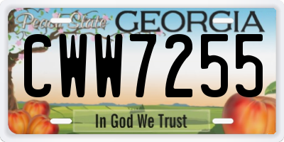 GA license plate CWW7255