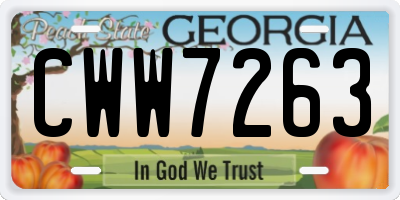 GA license plate CWW7263