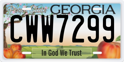 GA license plate CWW7299