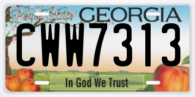 GA license plate CWW7313