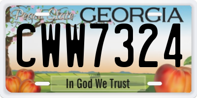GA license plate CWW7324