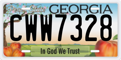 GA license plate CWW7328