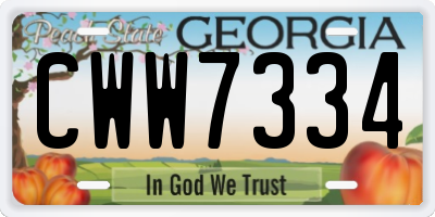 GA license plate CWW7334