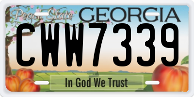 GA license plate CWW7339
