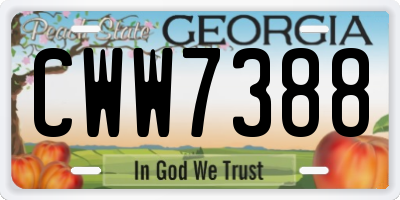 GA license plate CWW7388