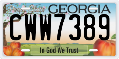 GA license plate CWW7389