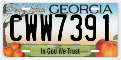 GA license plate CWW7391