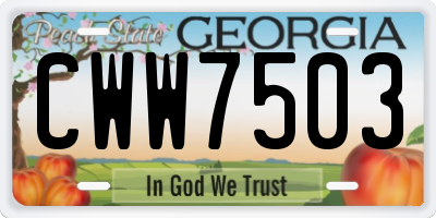 GA license plate CWW7503