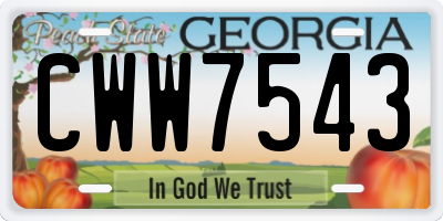 GA license plate CWW7543
