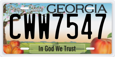 GA license plate CWW7547