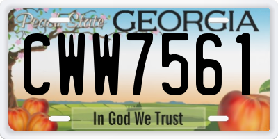 GA license plate CWW7561