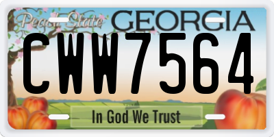 GA license plate CWW7564
