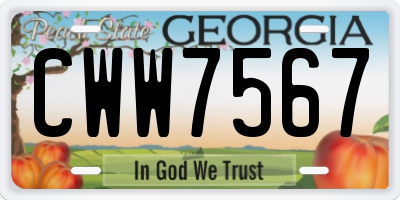 GA license plate CWW7567